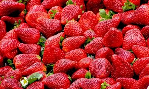 A Grade Strawberry Fruits