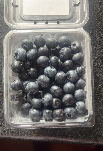 Fresh Blueberry Fruit