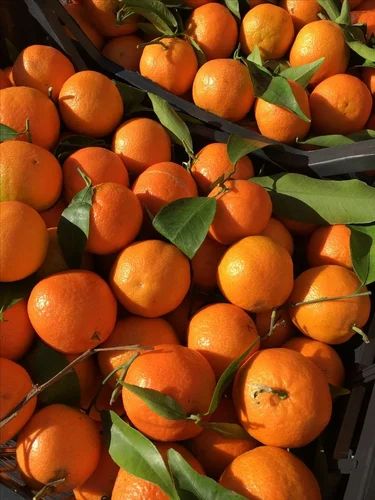 Fresh Mandarin Orange