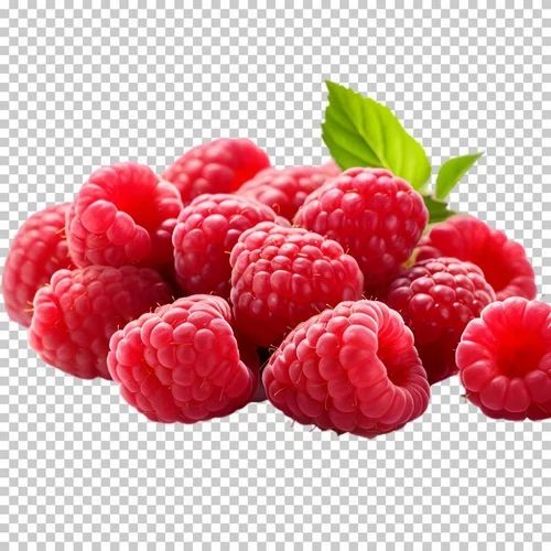 Fresh Premium Red Raspberry - 80gm Pack