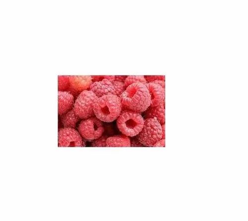 Fresh Raspberry