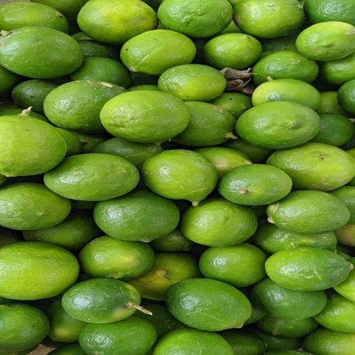 Fresh Green Mosambi