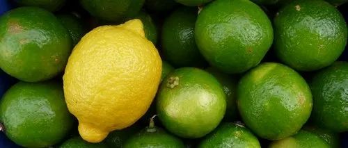 A Grade Maharashtra Lemon, Packaging Size: 10 Kg, Packaging Type: Plastic Bag