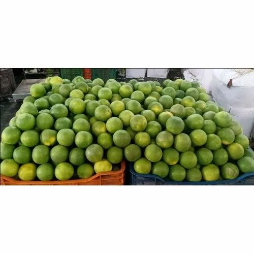 Orange A Grade Fresh Sweet Lime, Packaging Type: Carton