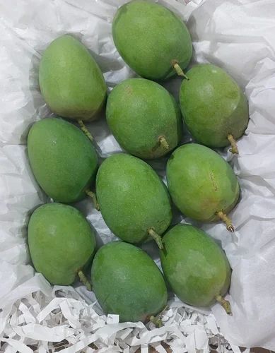 Fresh Alphonso Mangoes (Export Grade) from Maharashtra (2.50 Kg Box)