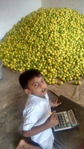 Fresh Lemon