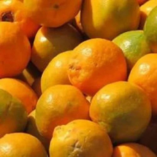 A Grade Pan India Fresh Navel Kamala Orange, Packaging Type: Loose