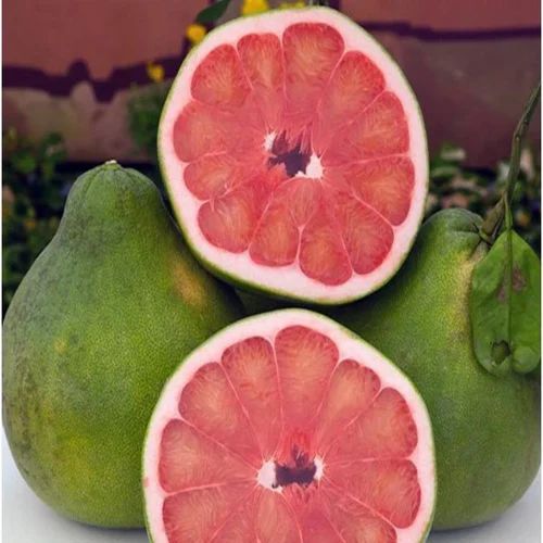 Pomelo Fruit