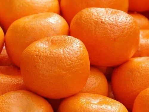 A Grade PAN INDIA Fresh Kinnow, Packaging Size: 25
