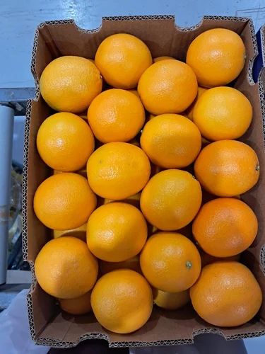 Fresh Valencias Oranges