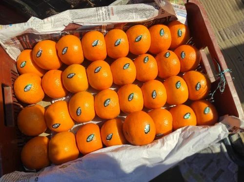 Kinnour Orange