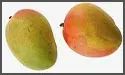 Malgoa Mango