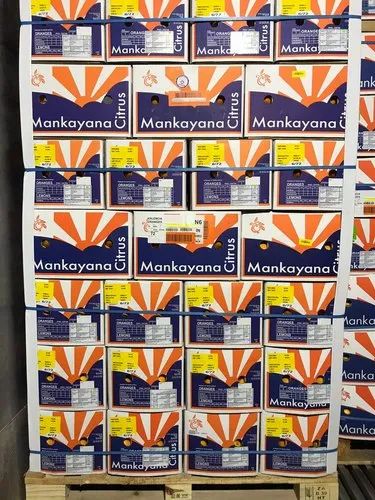 A Grade Valencia Orange, Packaging Size: 16 Kg, Packaging Type: Carton