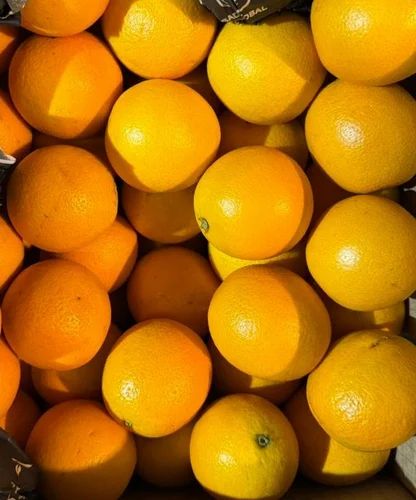 Valencia Orange