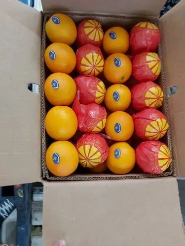 A Grade Imported-Egypt Valencia Orange, Packaging Size: 15Kg Box, Packaging Type: Carton