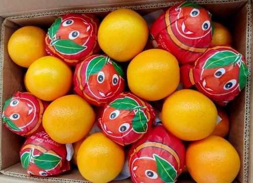 Valencia Oranges