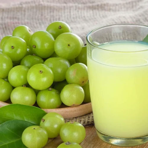 Frozen Amla Pulp, Packaging Size: 500 g