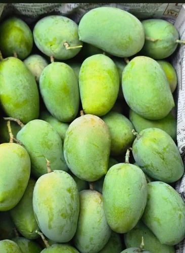 Fresh Raw Mango