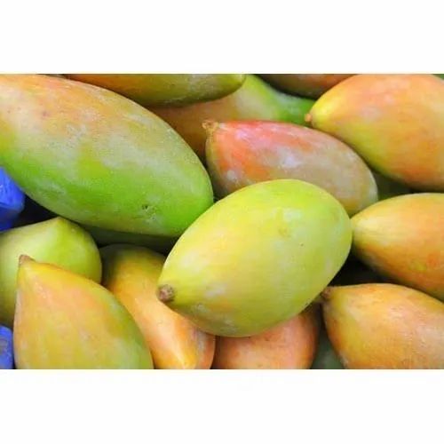 Fresh Totapuri Mangoes