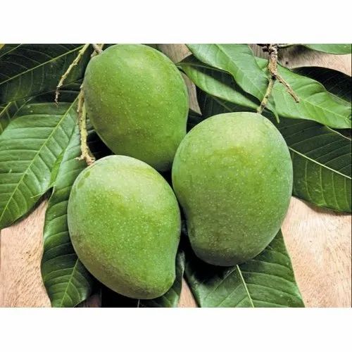Fresh Raw Mango