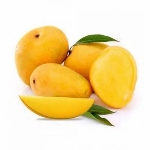 Fresh Banganapalli Mangoes