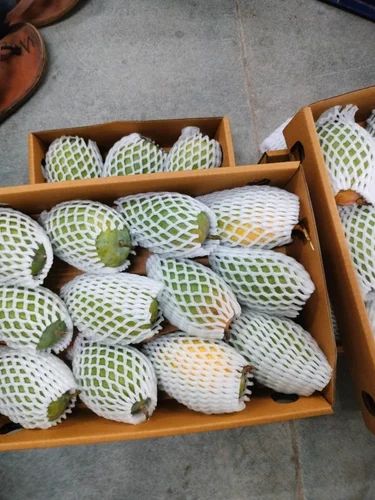 Fresh Mango Fruit