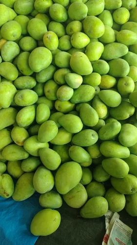 B Grade Banganapalli Mango