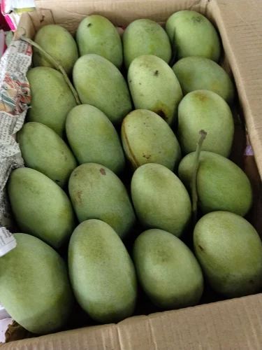 Langda Mango