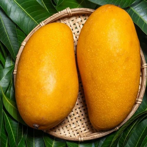 Organic Mallika Mangoes