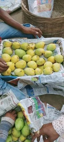 Langra mango