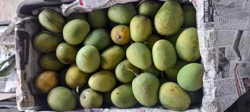 Langra Mango