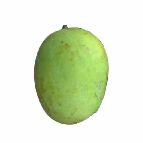 Green Natural Malda Mango Fruit