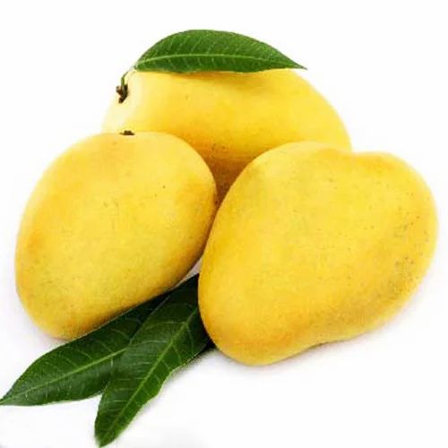 Chaunsa Mango