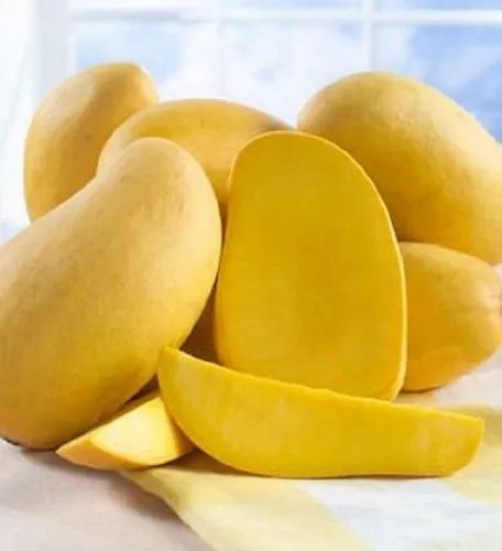 A Grade Chaunsa Mango, Packaging Type: Carton, Packaging Size: 10 Kg