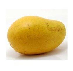 Chaunsa Mango