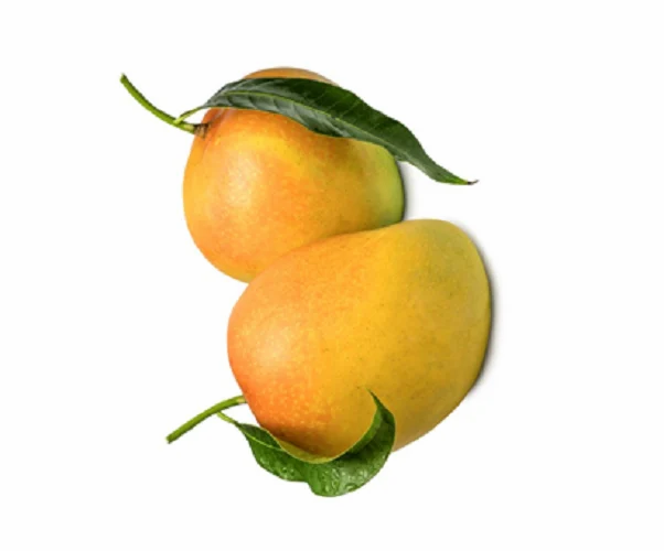 Mango Importers