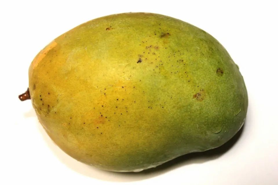 Chaunsa Mango