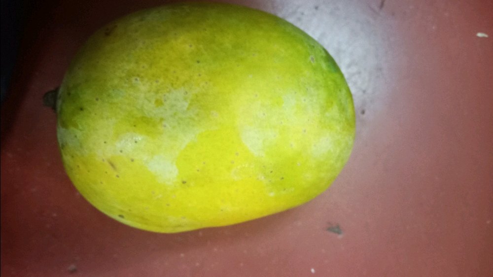 Chaunsa Mango