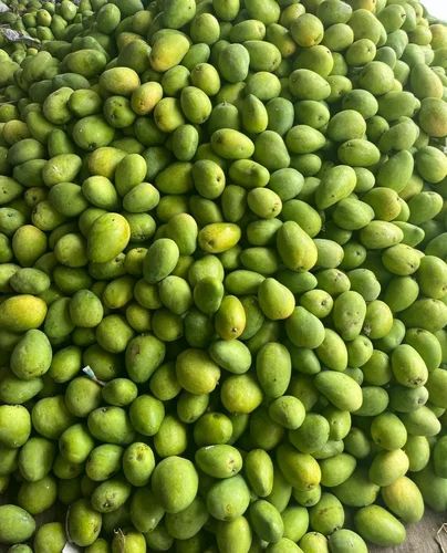 Premium Banganapalli Benisha Mangoes