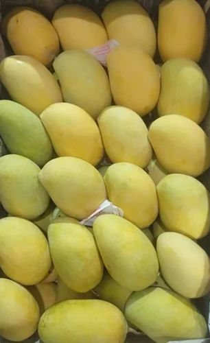 Fresh Dashehari Mango