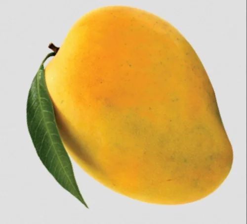 Neelam sweet Mango, 20 Kg