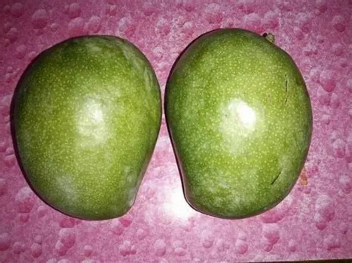 Neelam Mango