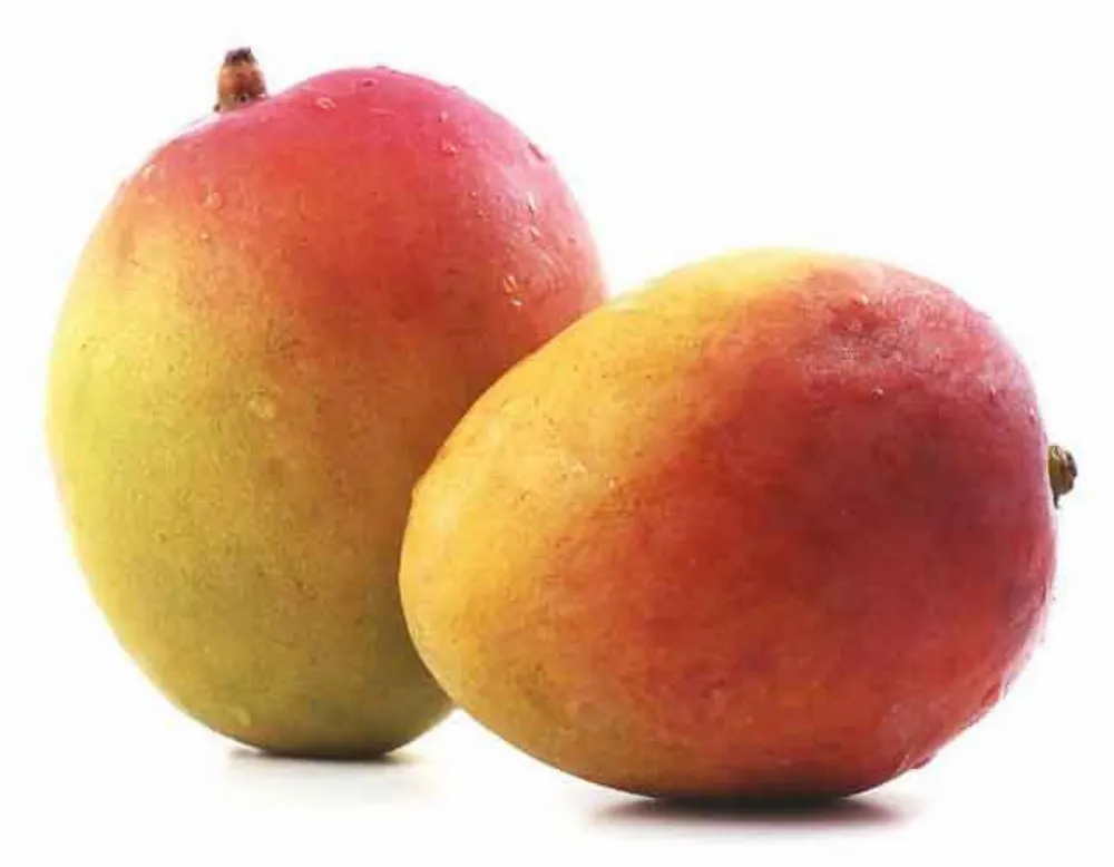 Mango Neelam
