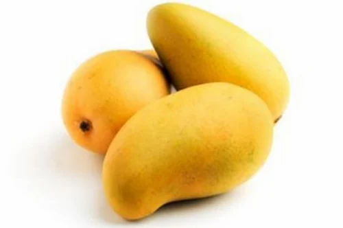 Malgova Mango supplier