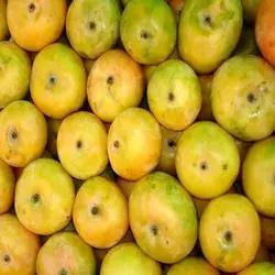 Malgoa Mangoes