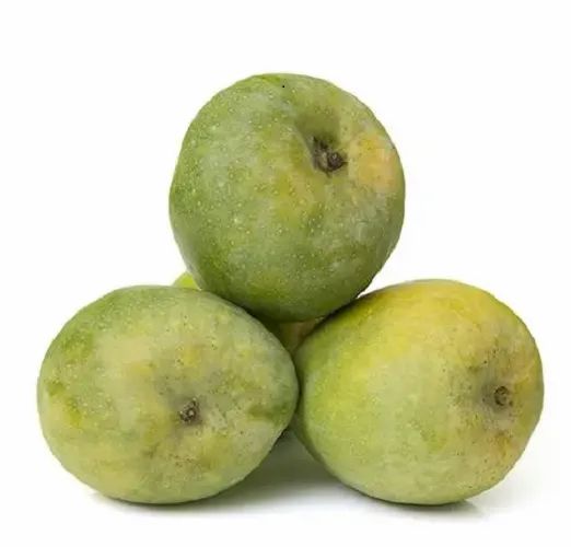 Salem Malgova Mango (5KG)