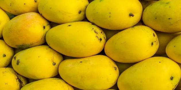 Malgova Mango