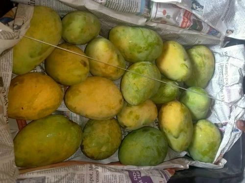 Fresh himsagar mango