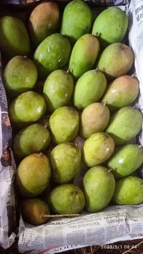 Malda Fulia Himsagar Mango