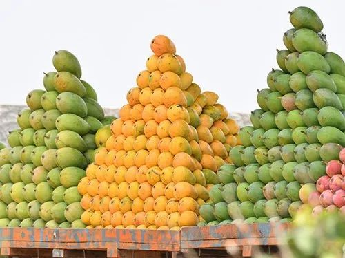 Green Himsagar From Malda